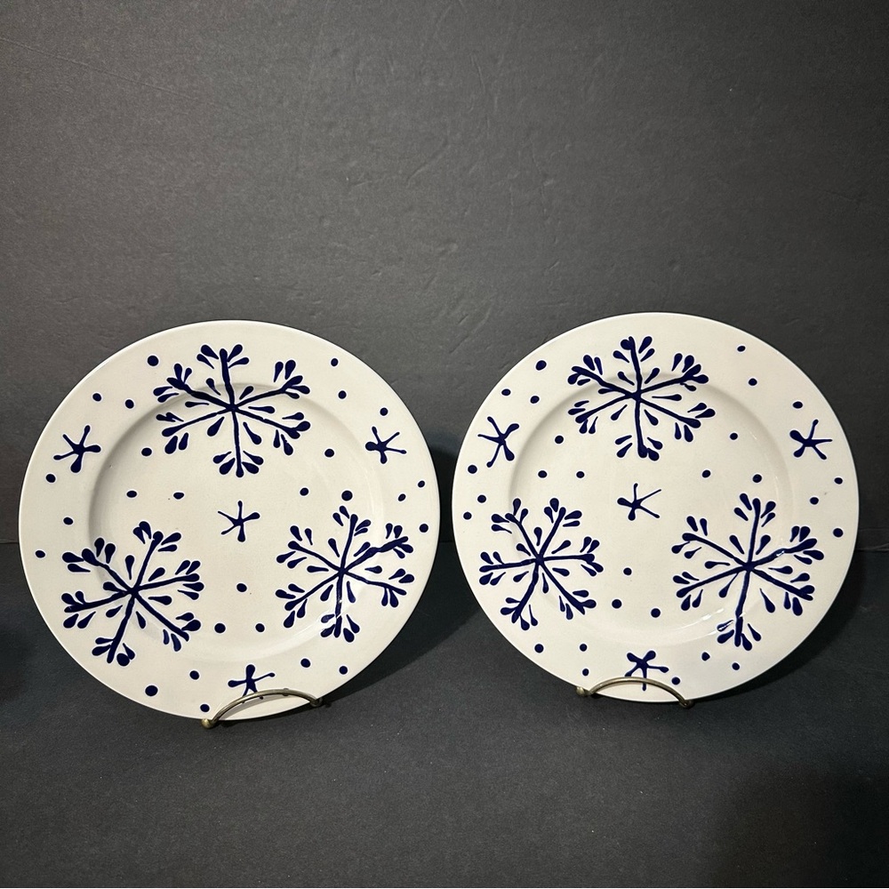 Set of 2 Blue & White Snowflakes Design Hand Painted In Italy 8.75" Salad Plates